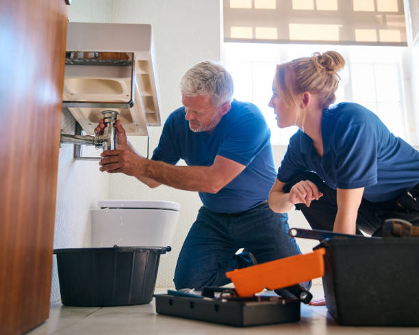 Best Sprinkler Systems  in Kulpmont, PA